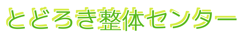 とどろき整体センター 等々力緑地武蔵中原小杉